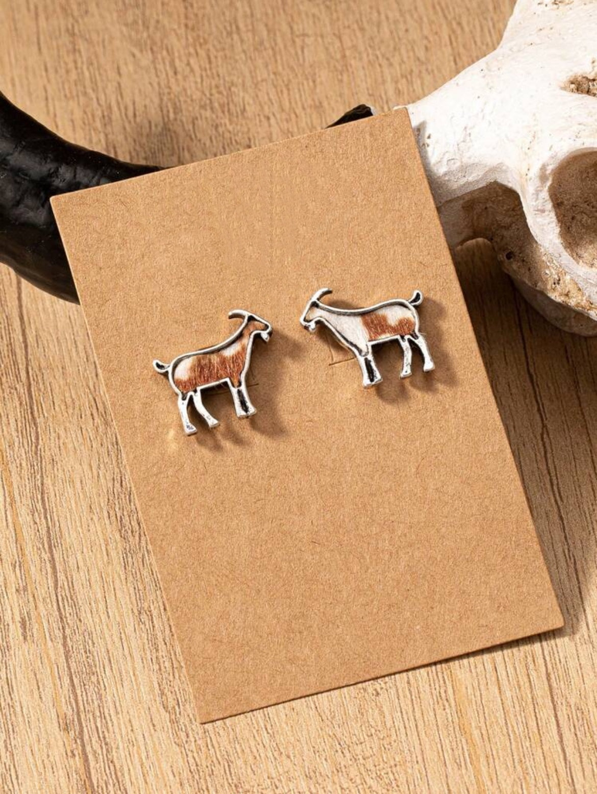 Adorable Brown and White Goat Studs