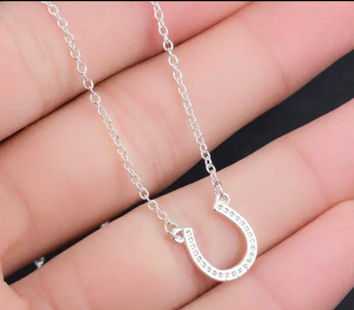 Gorgeous Silver Horseshoe Necklace