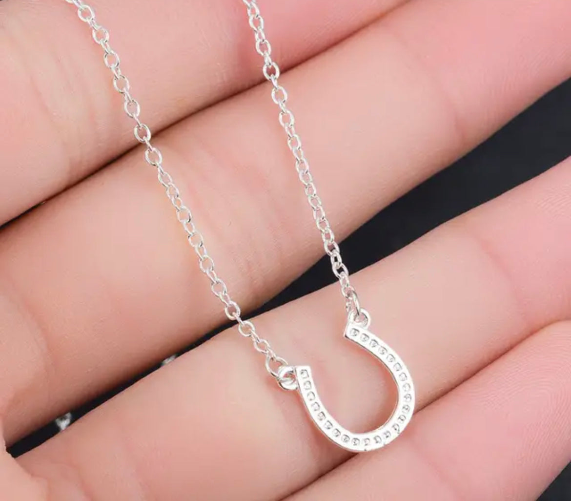 Gorgeous Silver Horseshoe Necklace